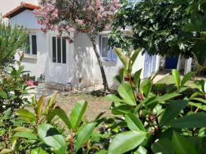 Vacation House Bimba - Pomer